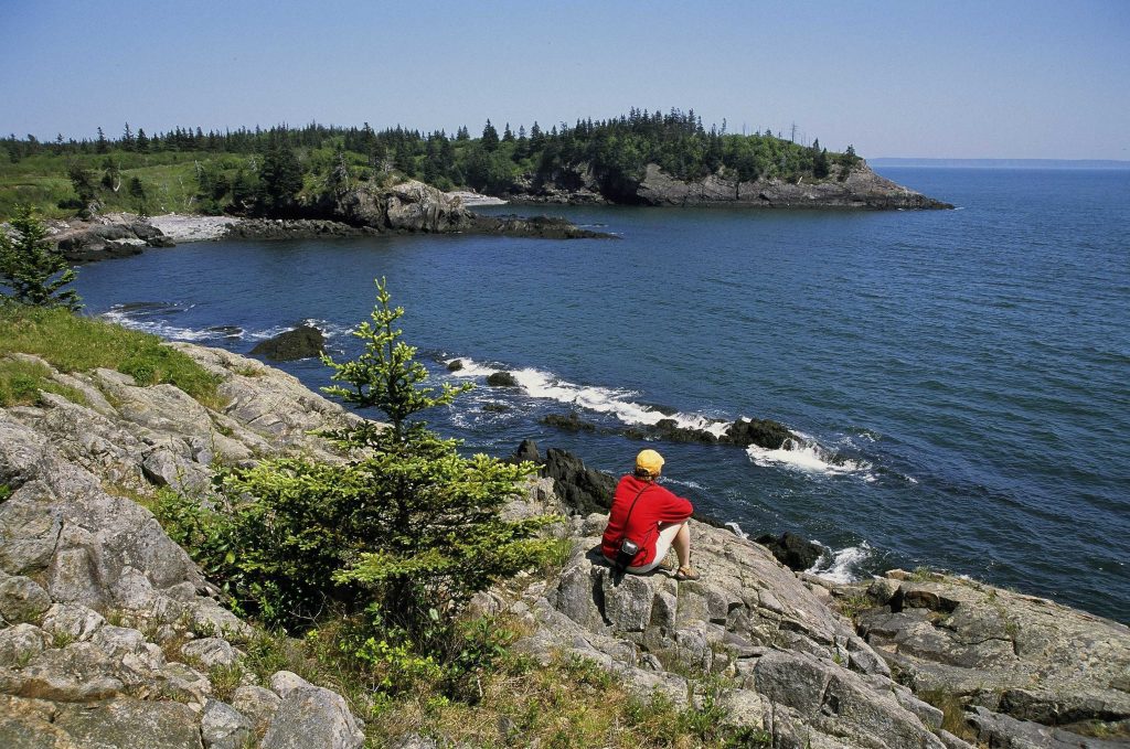 Hamilton Cove Lubec, MCHT Downeast Preserves